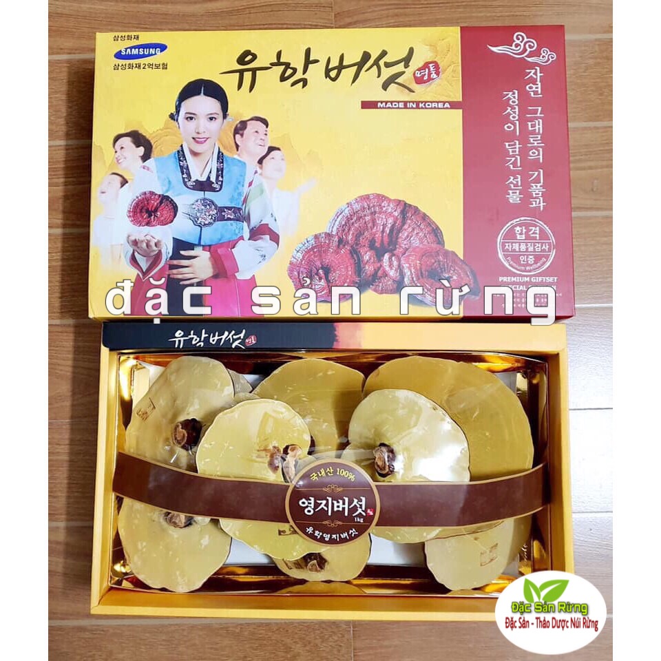 NẤM LINH CHI HÀN QUỐC VÀNG NHẠT - HỘP CÔ GÁI  1KG