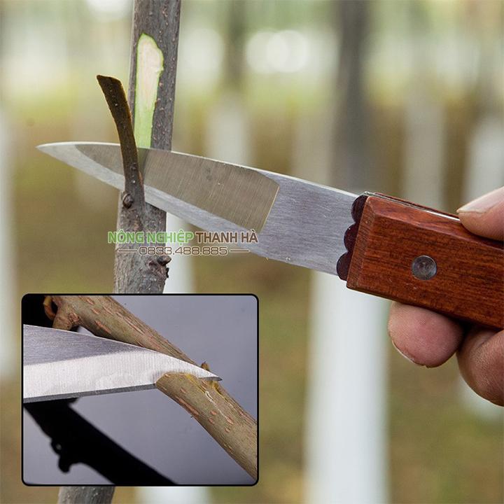 Dao ghép cành mũi nhọn cán gấp