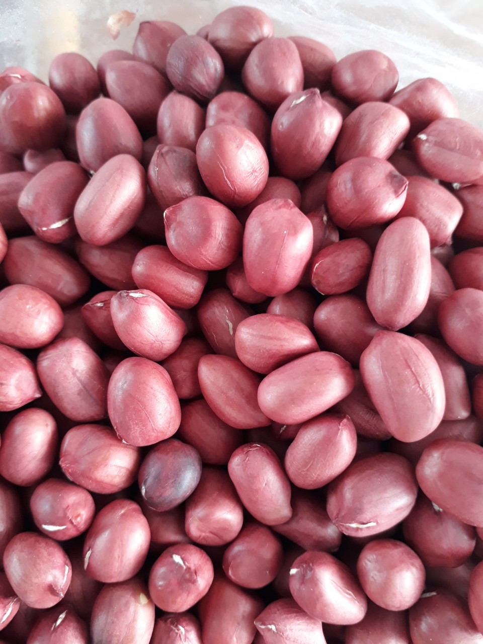Nhân lạc đỏ vụ mới, lạc sạch, hạt to đều được phơi giòn nắng, 500g