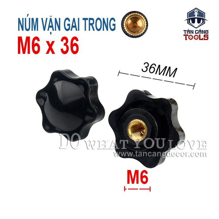 Núm Vặn Gai Trong