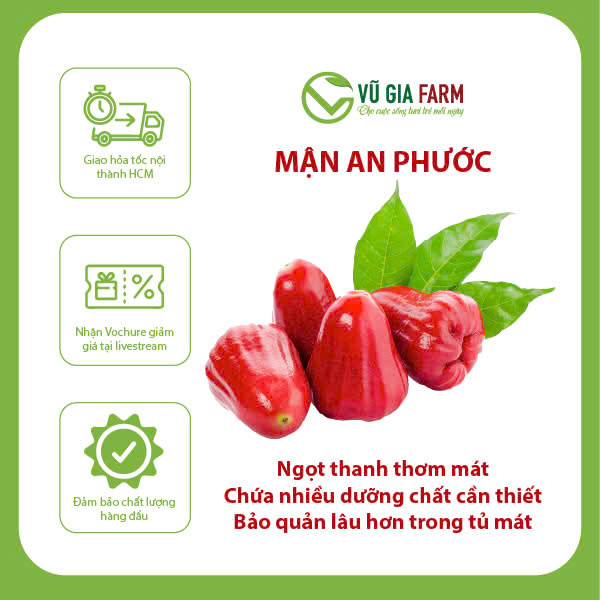 [HỎA TỐC HCM] Mận An Phước - giòn, ngọt, mọng nước