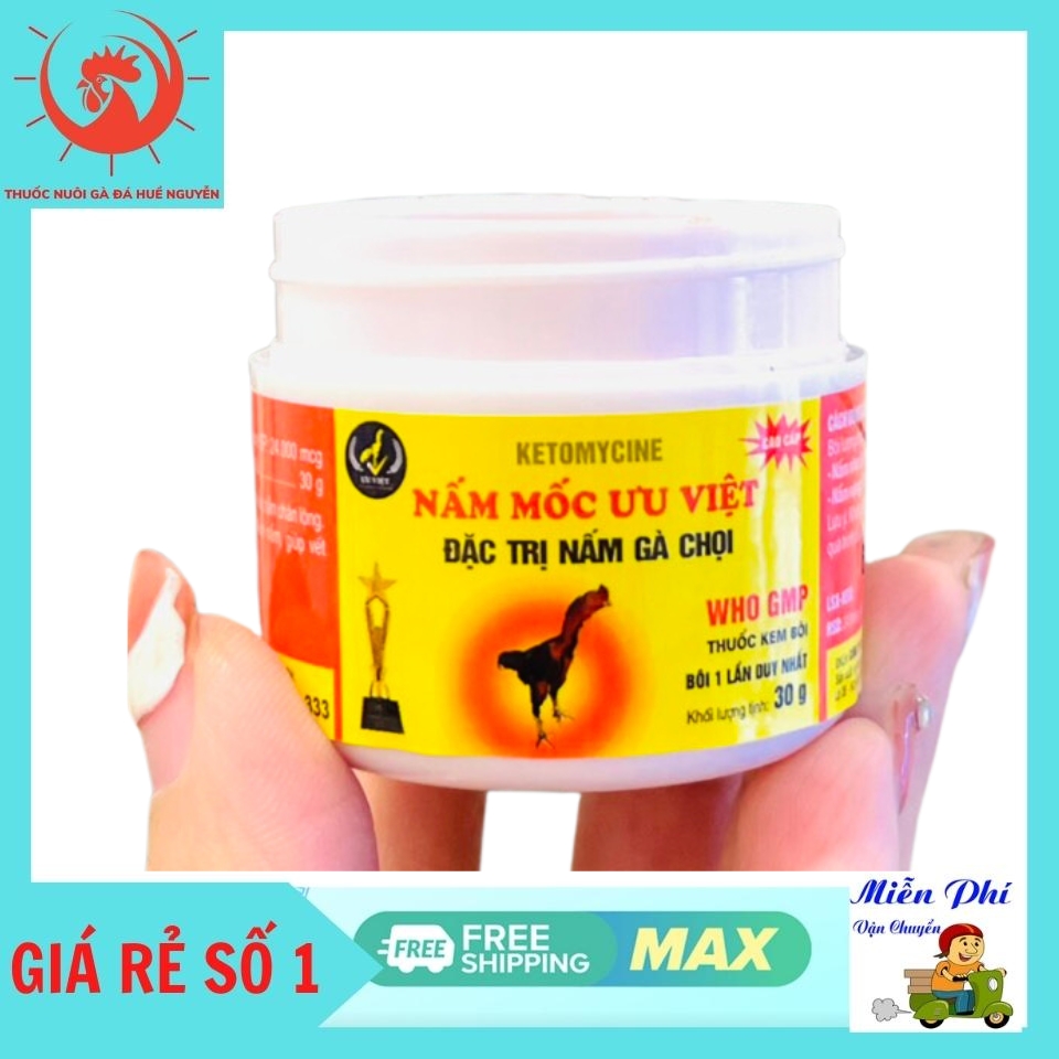Bôi mốc, lác ưu việt cho gà chọi khỏi sau 2 lần sử dụng.Bôi mốc nặng cho gà đá