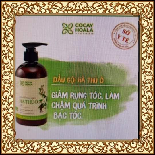 DẦU GỘI THẢO DƯỢC HÀ THỦ Ô 800ML - Kích Thích Mọc Tóc ,Ngăn Rụng Tóc ,Đánh Bay Gàu ,