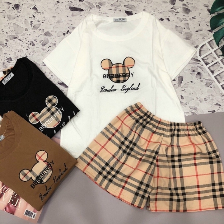 [freeship]Set đồ bộ nữ dể thương gồm 1 áo thun nữ form rộng họa tiết dể thương và quần đùi nữ chất liệu thun mềm mịn họa tiết thêu form dáng chuẩn