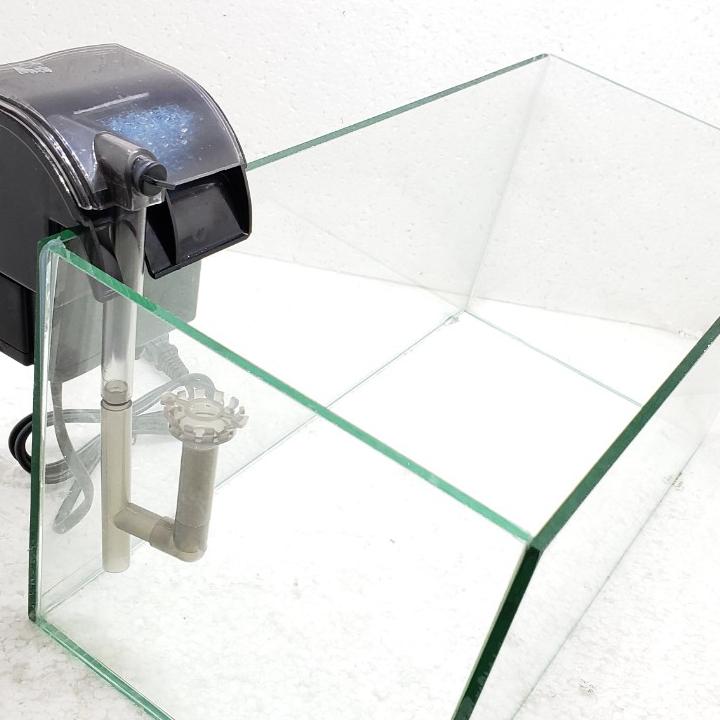 Bể cá mini có lọc