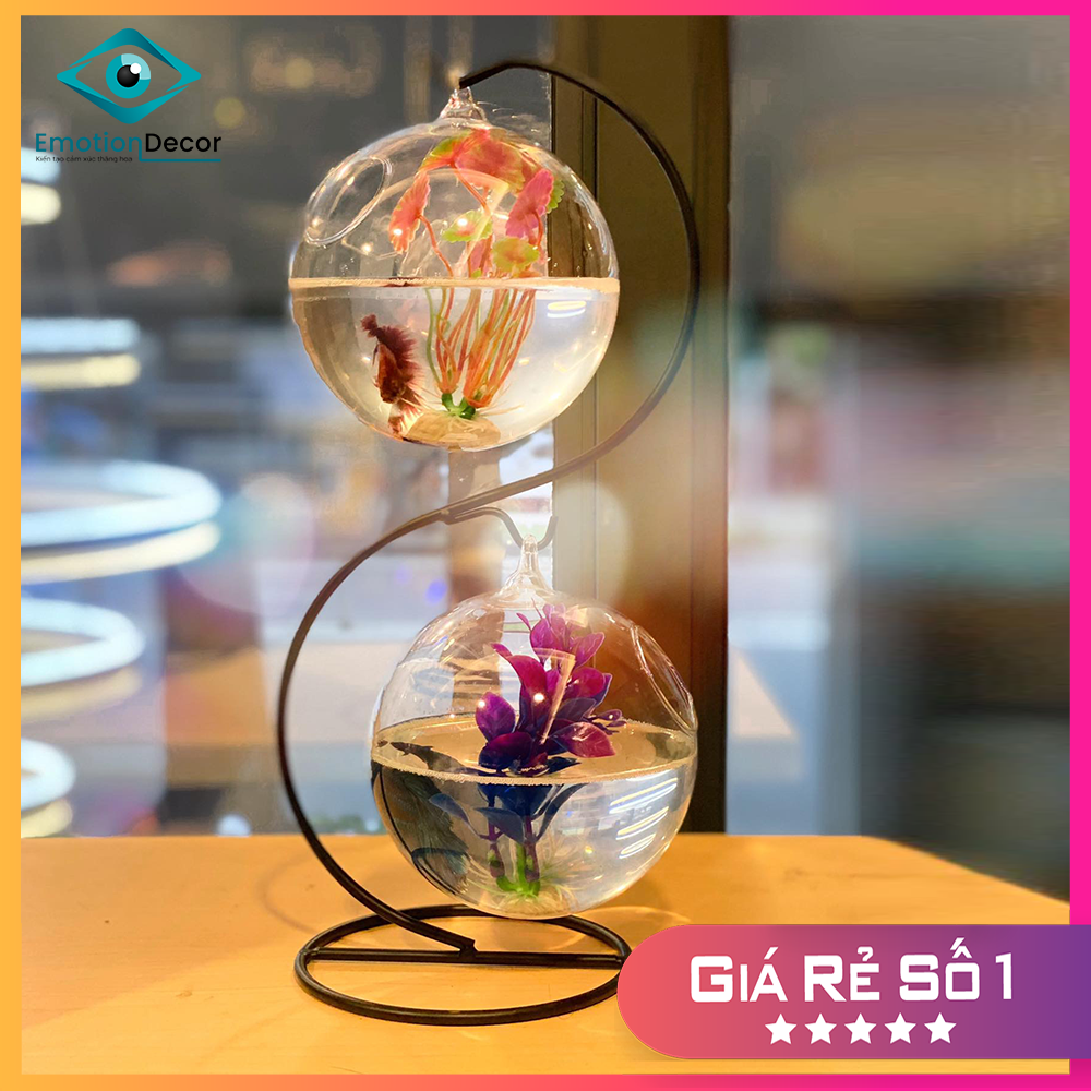 Bể Cá Mini Thủy Tinh Để Bàn (CHỮ S) - Chuyên Nuôi Cá Betta, Bảy Màu (Tặng Kèm Phụ Kiện Trang Trí Cây Nhựa + Đá Sỏi)