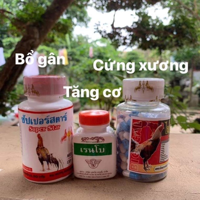 3 lọ (Tăng cơ bắp Rainbow + Bổ gân Super Star + Bổ xương Bio_Cal) cho gà đá