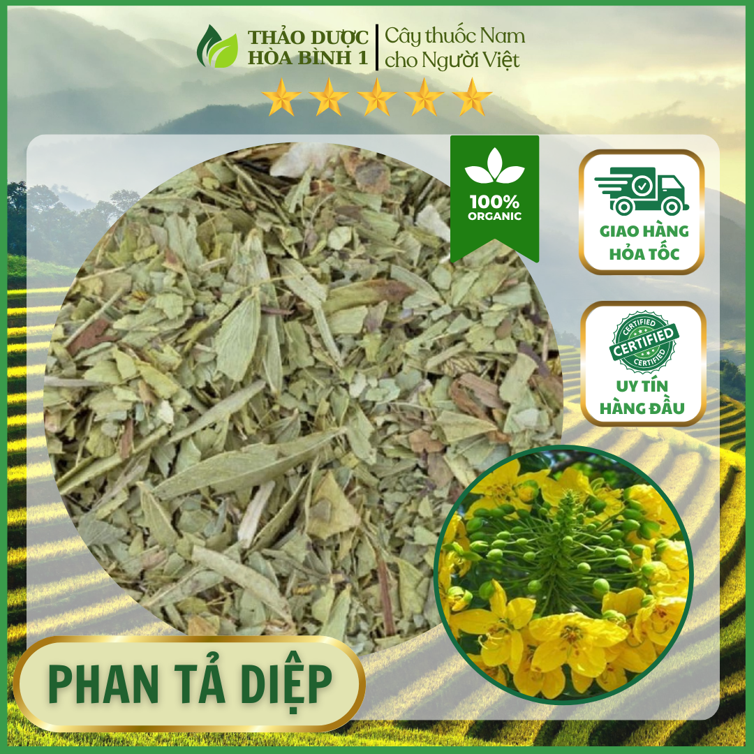 1kg Phan tả diệp sấy khô, hàng loại 1 xanh, thơm