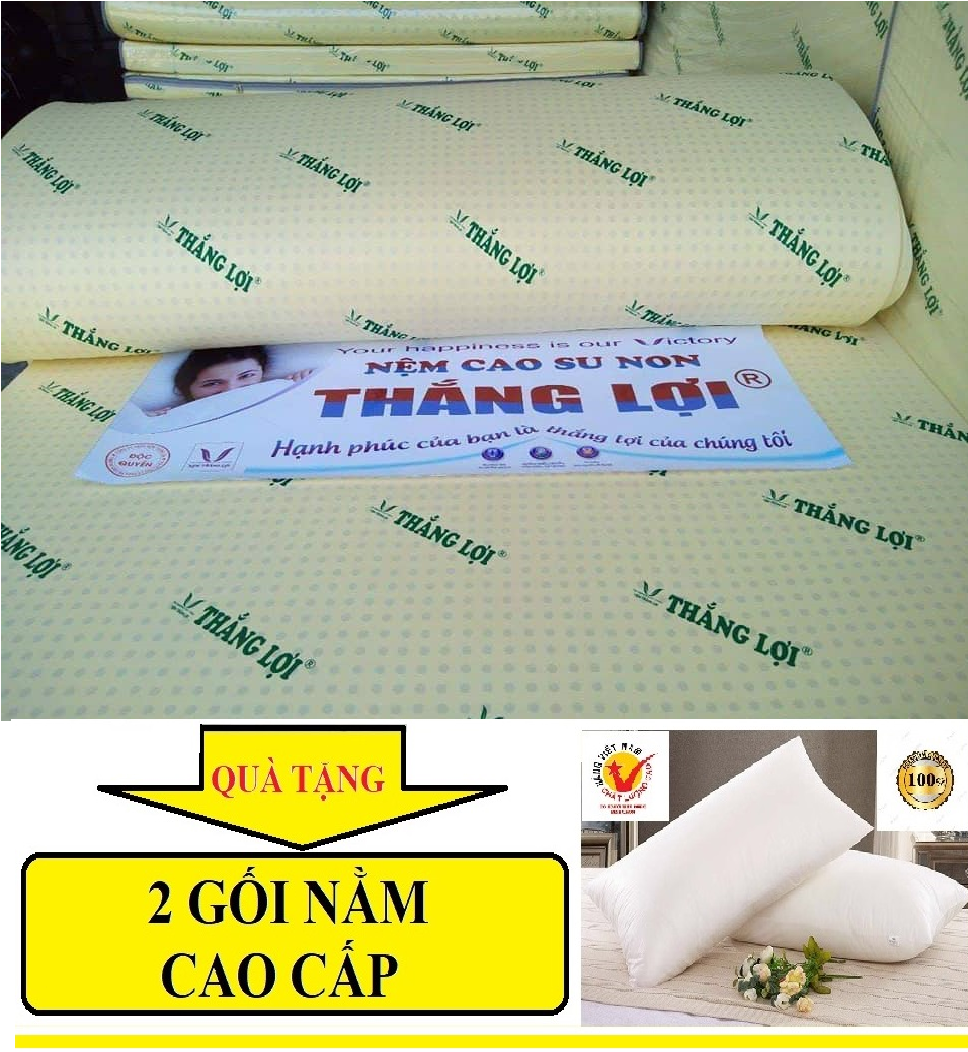 Nệm 1m6 x 2m x 15cm cao su non thắng lợi loại cao cấp tặng 2 gối nằm