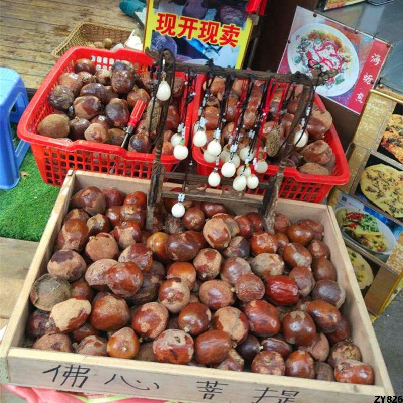 Bồ đề quả phật tâm gốc bồ đề ngàn mắt mặt dây chuyền rỗng bán nguyên liệu bồ đề bồ đề quả gốc thích ca bồ đề vòng cổ