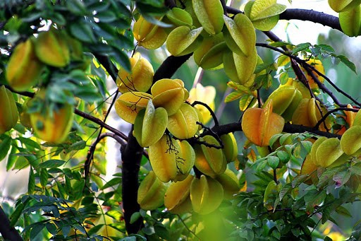 BEI9qmSyKH6dTb0xsFSR_simg_d0daf0_800x1200_max.jpg