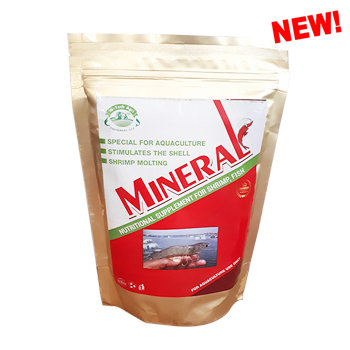 Khoáng Kích thích tạo vỏ, lột xác cho Tôm, Ngăn chặn bệnh co cơ, Đục thân trên Tôm thẻ Super MINERAL