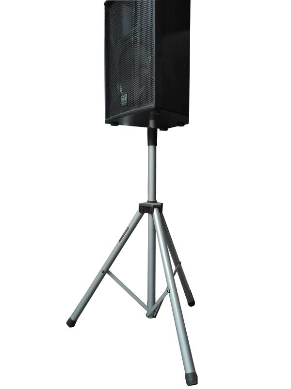 Bộ 2 chân loa sân khấu bạc