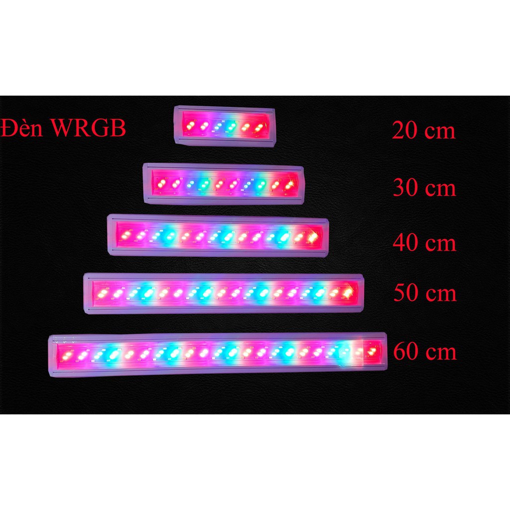 Đèn led thủy sinh 3 chế độ sáng 50cm
