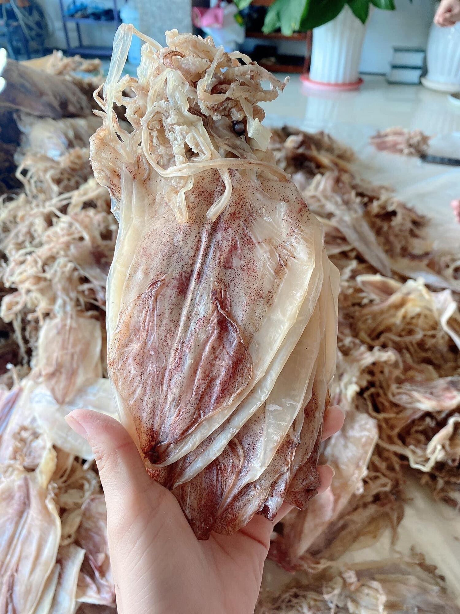 10 túi khô mực vũng tàu tặng kèm tương ớt