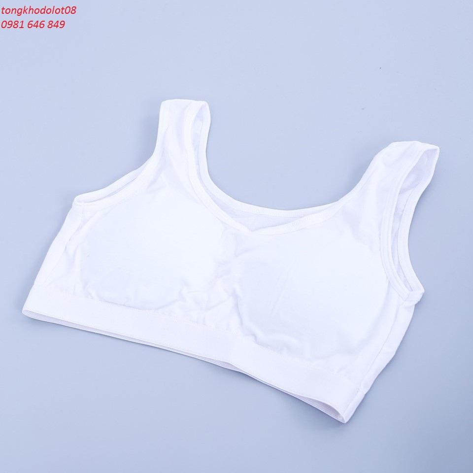 Bộ 6 áo lá học sinh bản to
