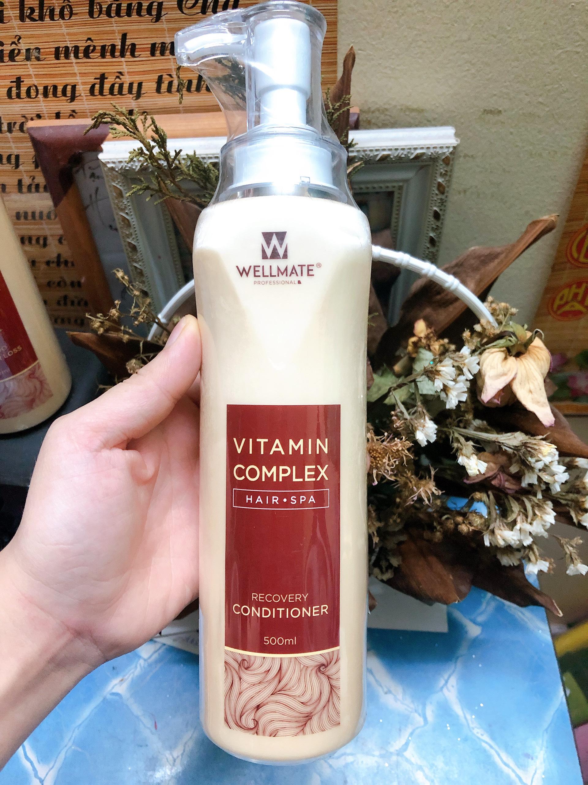 [HCM]Dầu xả phục hồi tóc hư tổn Wellmate 500ml