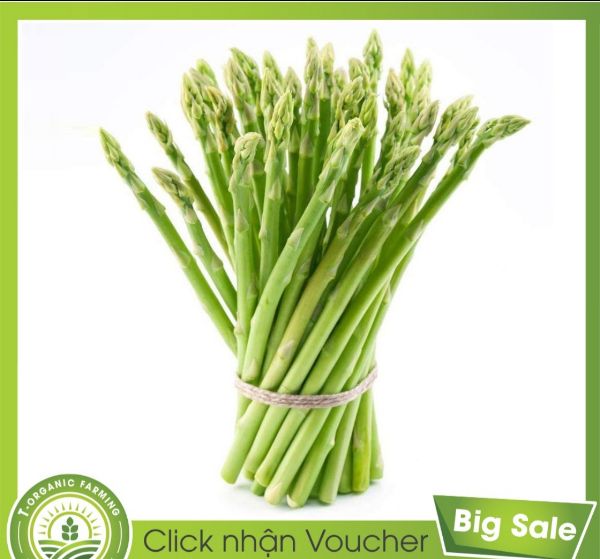 Combo Gói 30 Hạt Giống Măng Tây Xanh