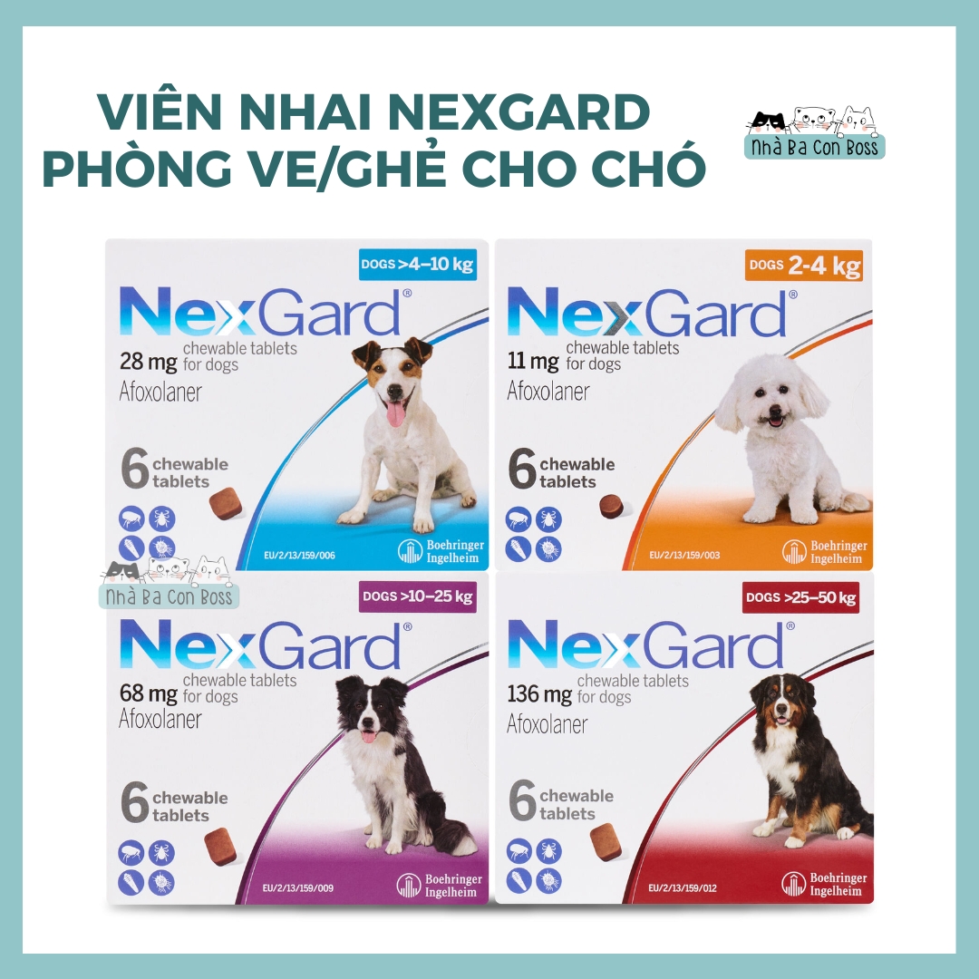 Viên Nhai Nexgard Cho Chó Từ 2kg Đến 50kg