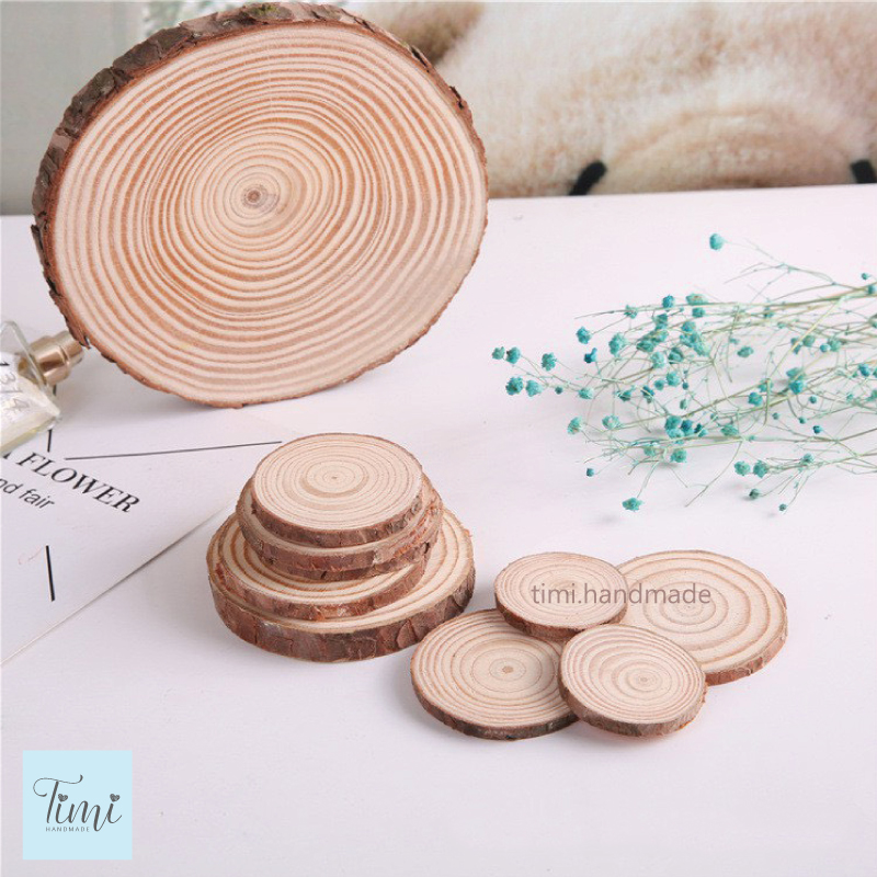 Khoanh gỗ - miếng gỗ tròn tự nhiên trang trí chụp ảnh sản phẩm, phụ kiện decor, vẽ trang trí