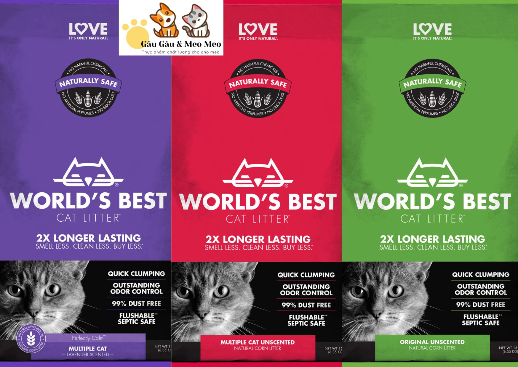 World's best cat litter cát vệ sinh mèo