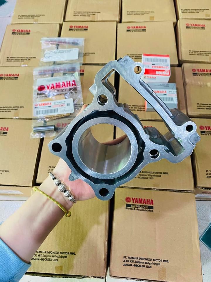 Lòng vision 57 gắn cho ex135 , ex 150