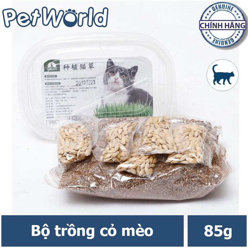 Bộ trồng cỏ tươi cho mèo Thế Giới Thú Cưng CMCBH08