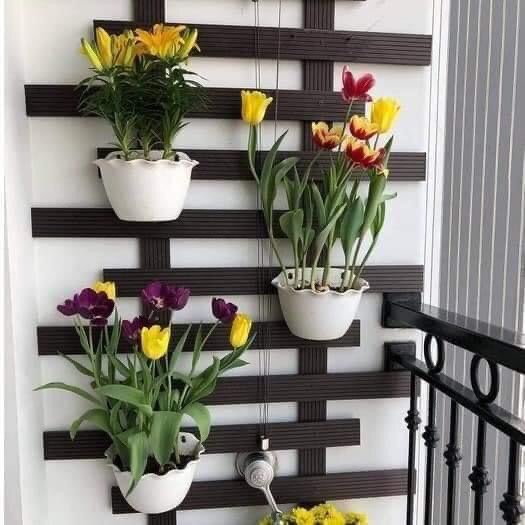 Sét 10 Chậu ốp tường trồng cây-Chậu treo tường bán nguyệt viền tim