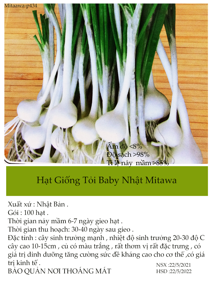 [HCM]Hạt giống tỏi baby nhật -gói 100 hạt tỉ  lệ nảy mầm >85%
