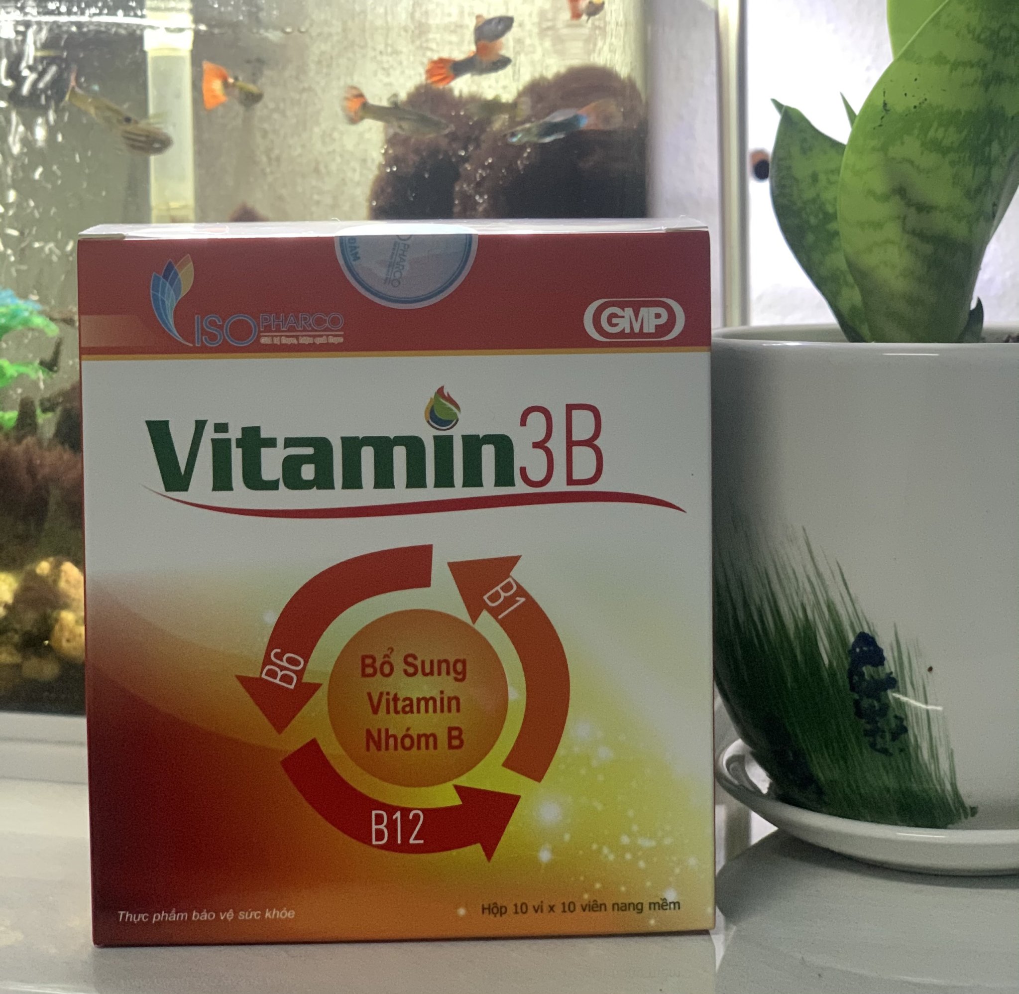 vitamin 3B viên nang mềm Abipha hộp 100 viên