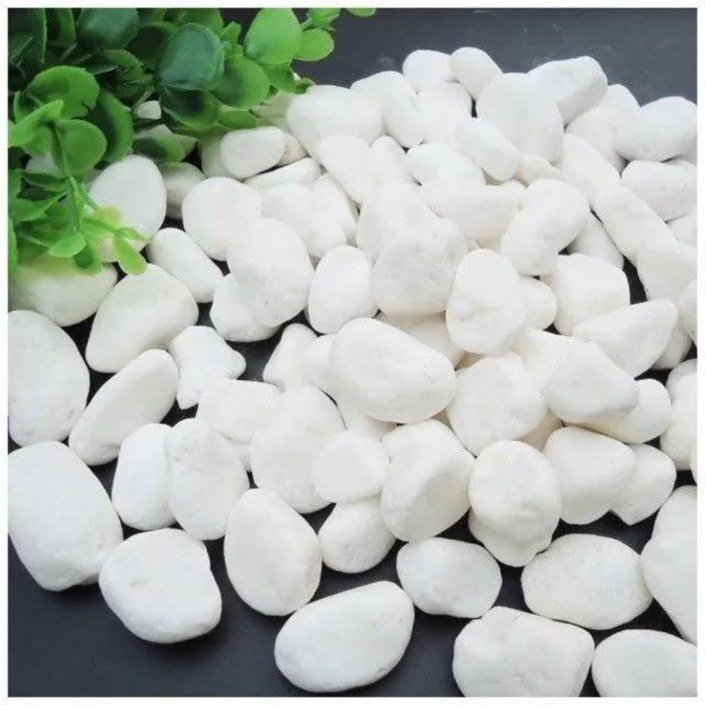 Đá Sỏi Trang Trí Chậu Cây TH Garden – 1kg - Đá Cuội Sỏi Chuyên Trang Trí Bể Cá,Sân Vườn -Dòng Sỏi Trắng Cao Cấp Nhiều Size