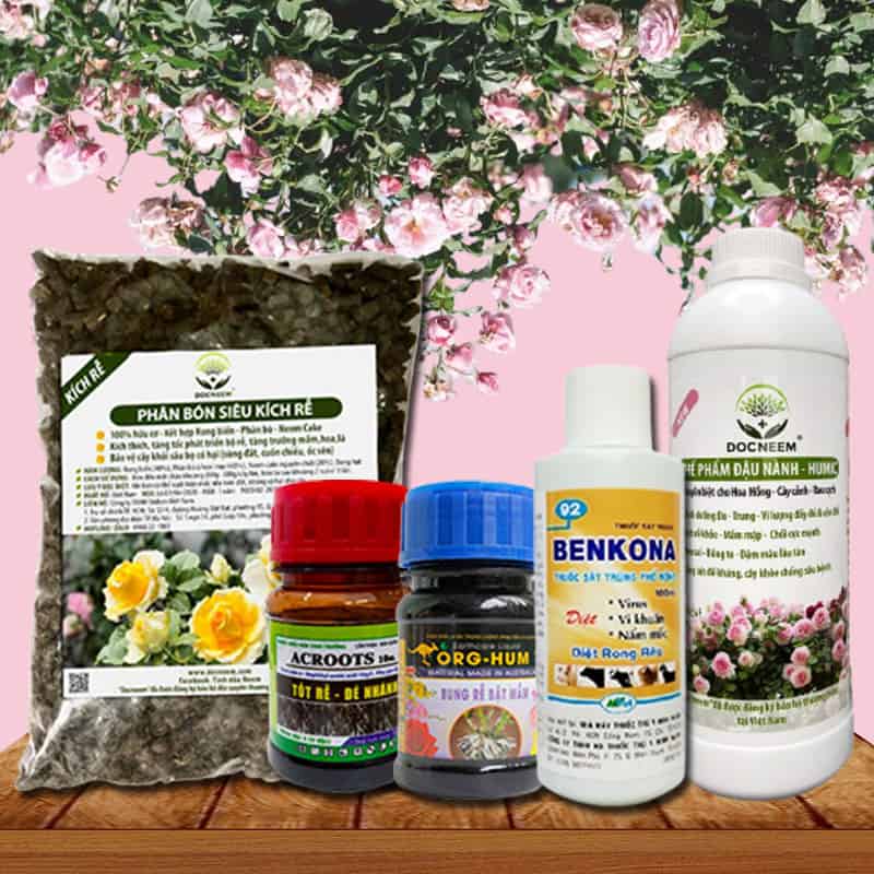 Combo phân bón chăm sóc hoa hồng sau ra hoa