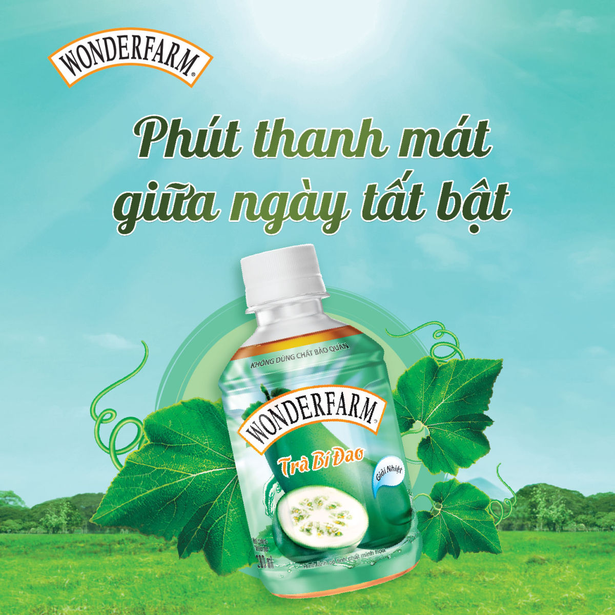Lốc 6 chai Nước giải khát Trà Bí Đao WONDERFARM 280ml- thanh mát giải nhiệt