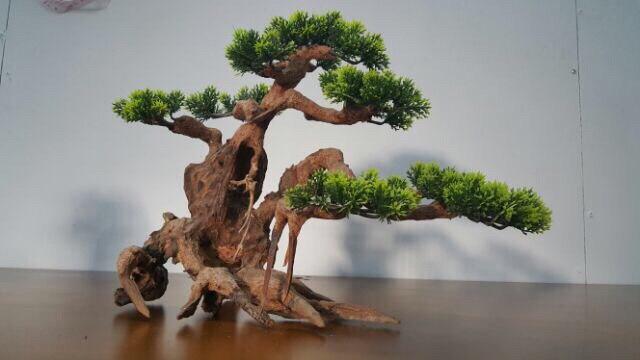 Cây lũa Bonsai lá nhựa - trang trí bể cá - xưởng ts online37, được xử lý với kỹ thuật riêng không hóa chất, có thể ngâm trong nước trên 10 năm, không làm thay đổi độ pH hồ