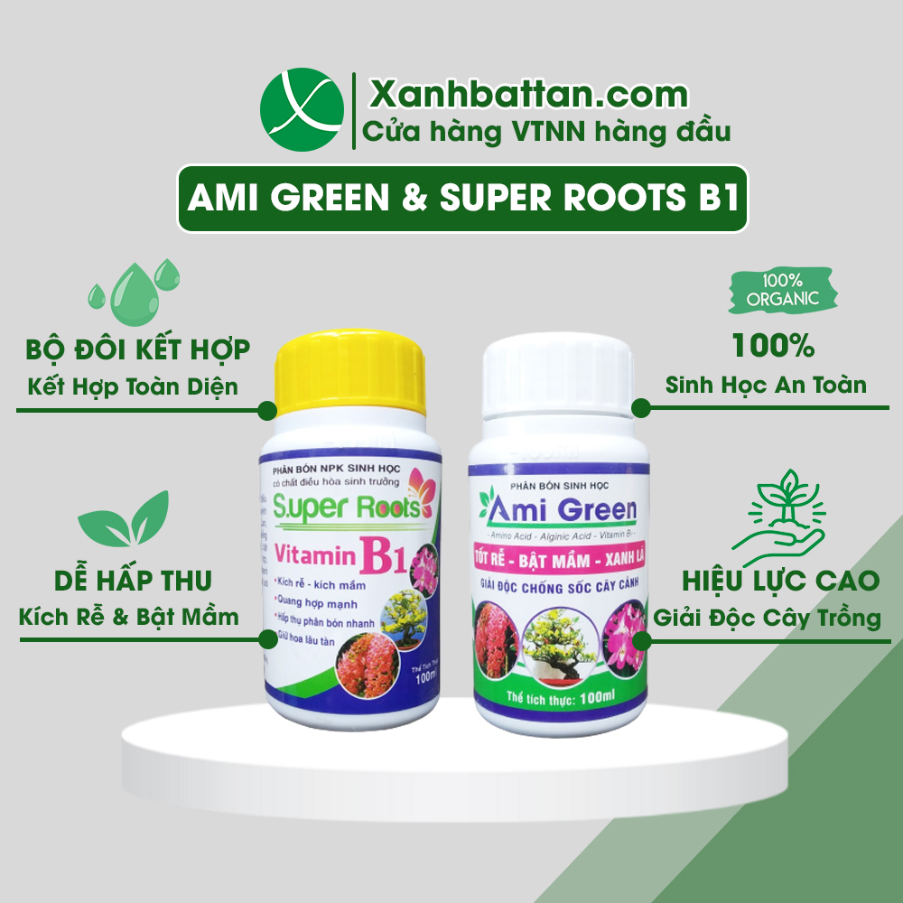 Combo Ami Green Và Super Root B1 Kích Rễ - Kích Mầm - Giải Độc Cây - Dưỡng Hoa Lâu Tàn