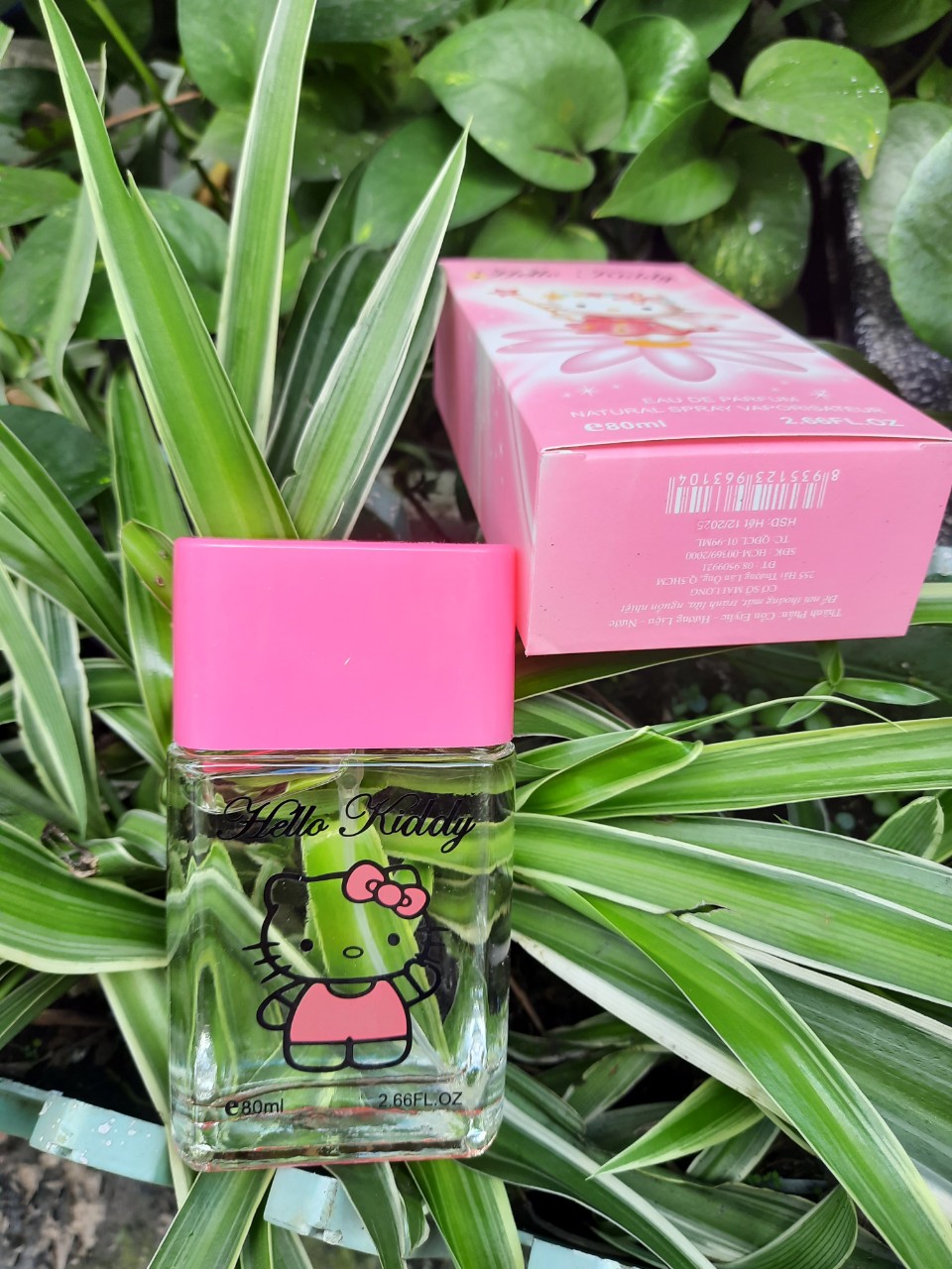 Nước Hoa Hello Kiddy hương dịu dễ thương 80ml