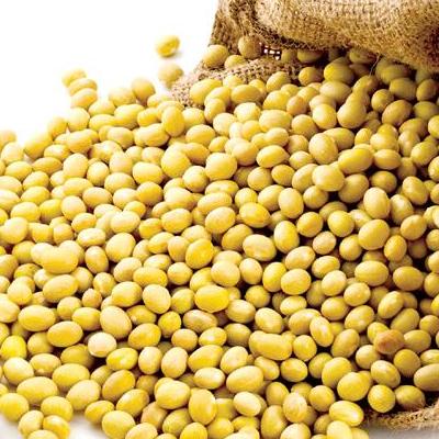 500G ĐẬU NÀNH SẤY GIÒN-VSATTP