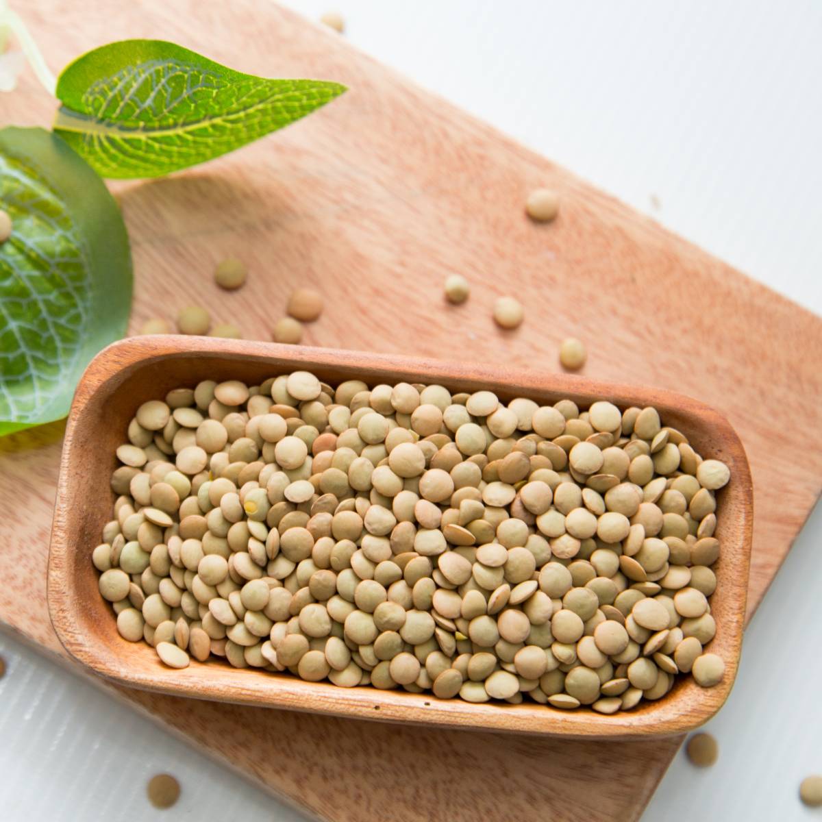 1KG ĐẬU LĂNG XANH( hạt chưa chế biến)