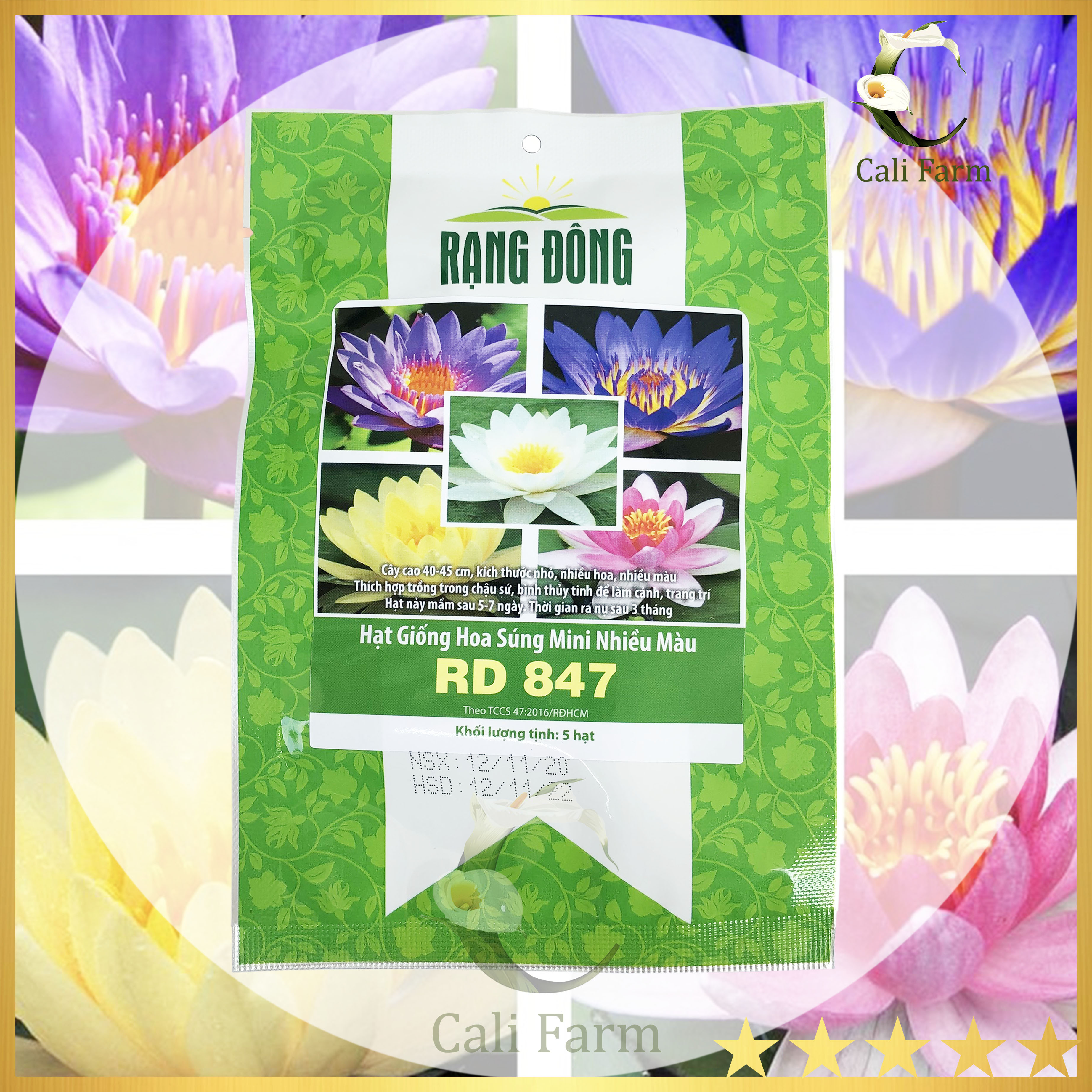 Hạt giống hoa súng mini nhiều màu rd 847