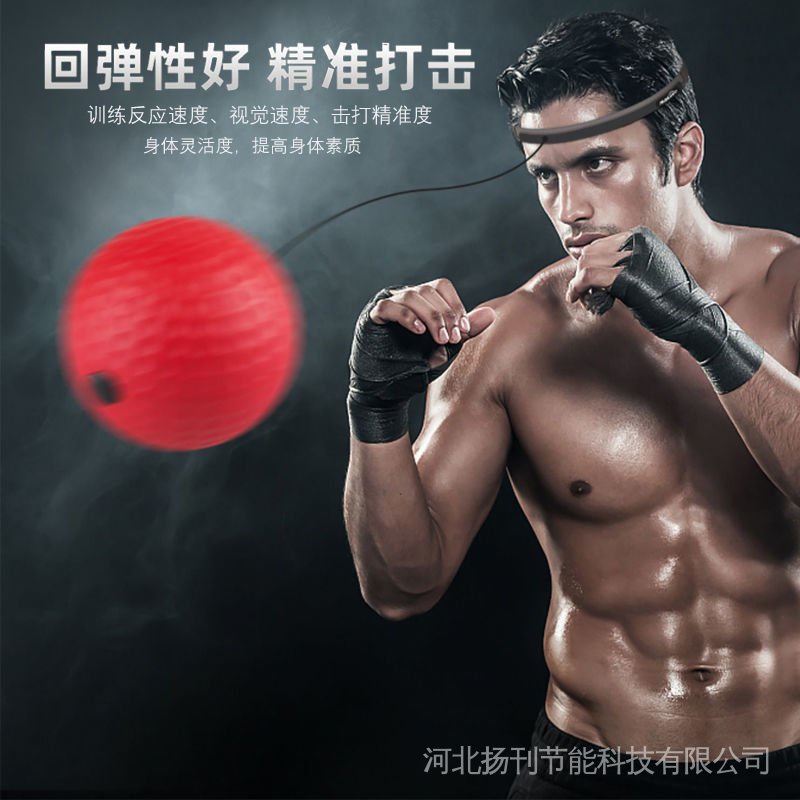 Bóng Gắn Băng Đeo Đầu Hỗ Trợ Luyện Tập Phản Xạ Boxing