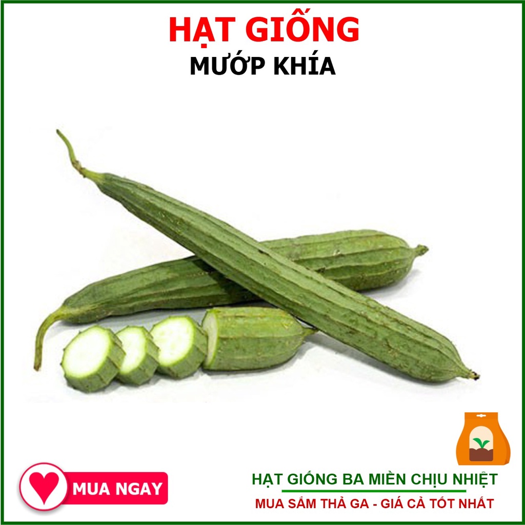 Hạt giống mướp khía sai trái, chịu nhiệt 10 hạt
