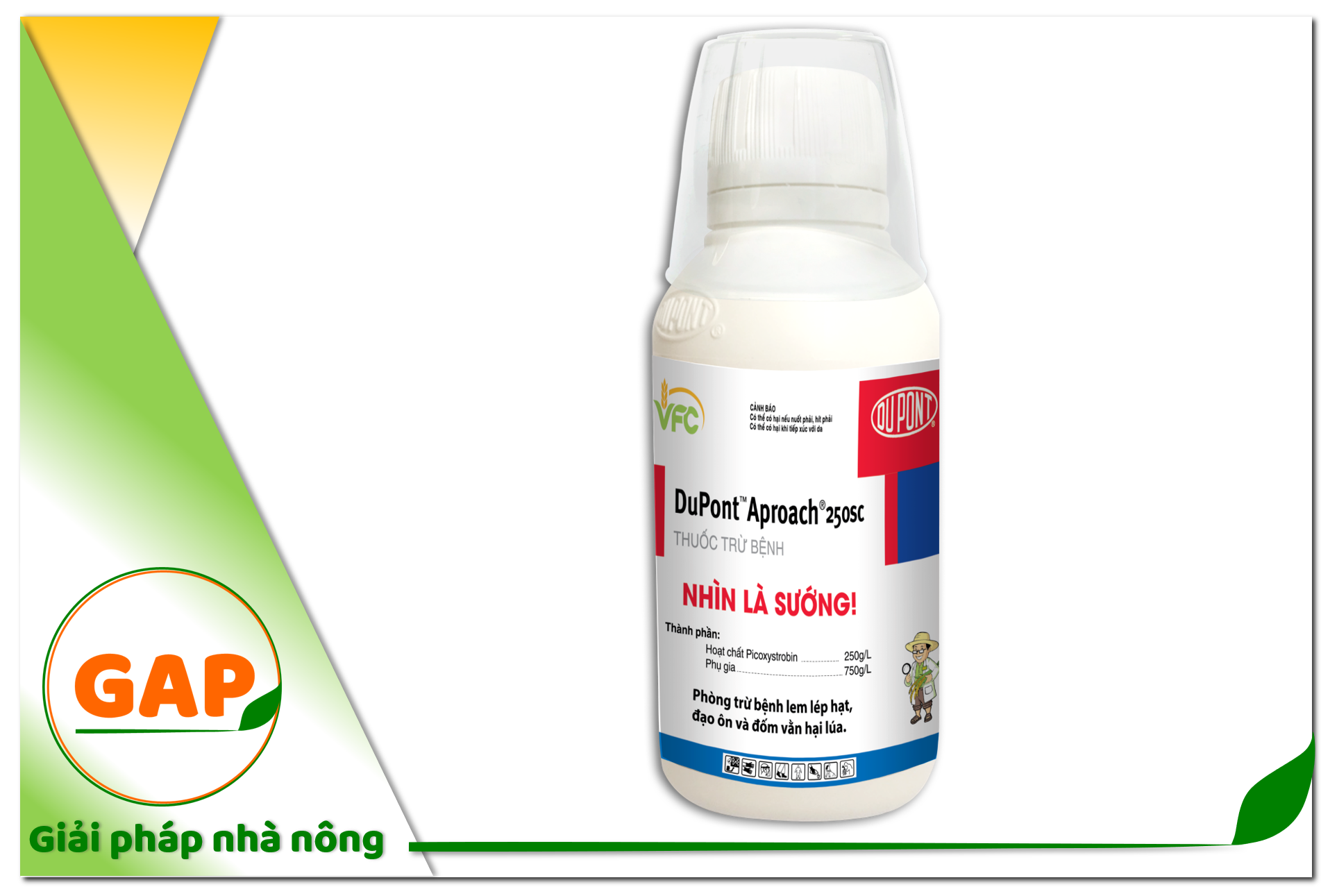 Dupont aproach 250sc phòng trừ bệnh lem lép hạt đạo ôn và đốm vằn hại lúa