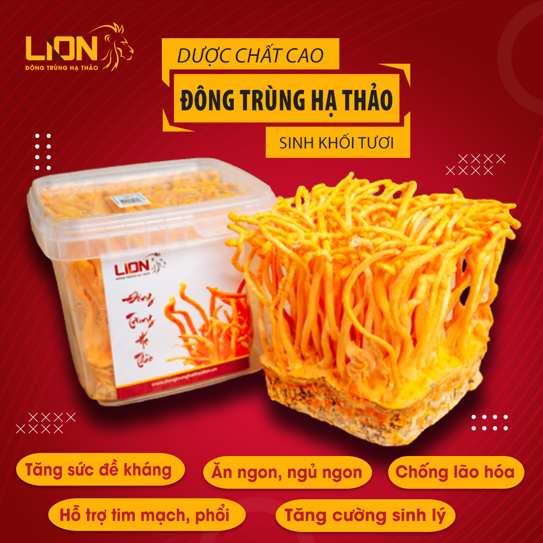 Đông Trùng Hạ Thảo Tươi LION - Hộp 200gr - Dược Chất Cao - Giảm ho, hen suyễn, bồi bổ cơ thể, tăng sức đề kháng, ngừa ung thư, tăng cường sinh lý nam nữ