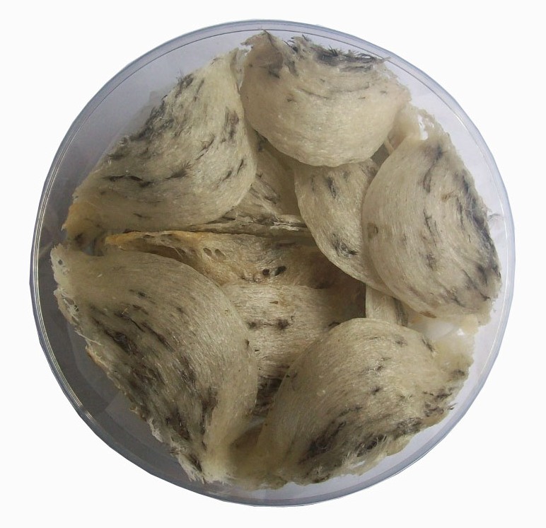 [HCM]100 Gram Yến Thô Tổ Nhỏ(12-14 Tổ) Giúp tăng cường sức khỏe sức đề kháng, Yến Nuôi thiên nhiên nguyên chất ,PP Sâm Yến Phú Khánh