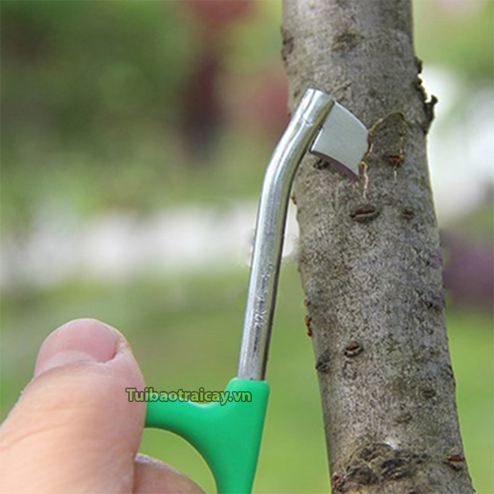 Dụng cụ khoanh vỏ cây - D117
