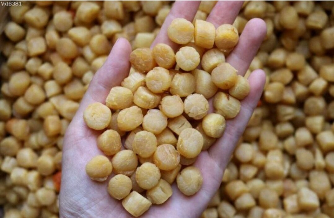 100g cồi điệp nhật khô size nhỏ túi zip