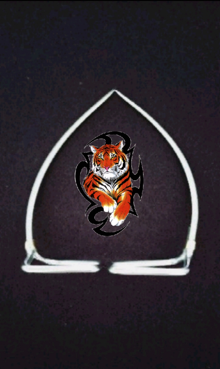 [HCM]cựa gà nòi 80 ( siêu mành ) thép mỹ 2ly3 bọc đồng và hàn đế...TÂM CỰA