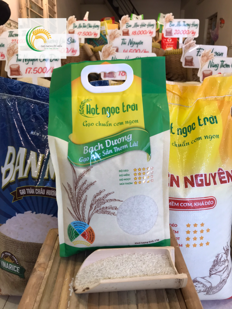Gạo túi 5kg Hạt Ngọc Trời Bạch Dương [Chính hiệu] Cơm thơm lài - Dẻo nhẹ - Mềm cơm