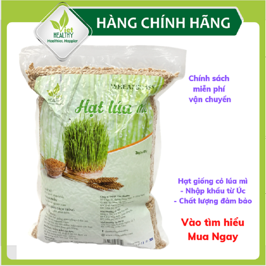 Hạt giống cỏ lúa mì 3kg, dễ trồng, thơm ngon, cung cấp vitamin, khoáng chất, diệp lục, giúp thải độc
