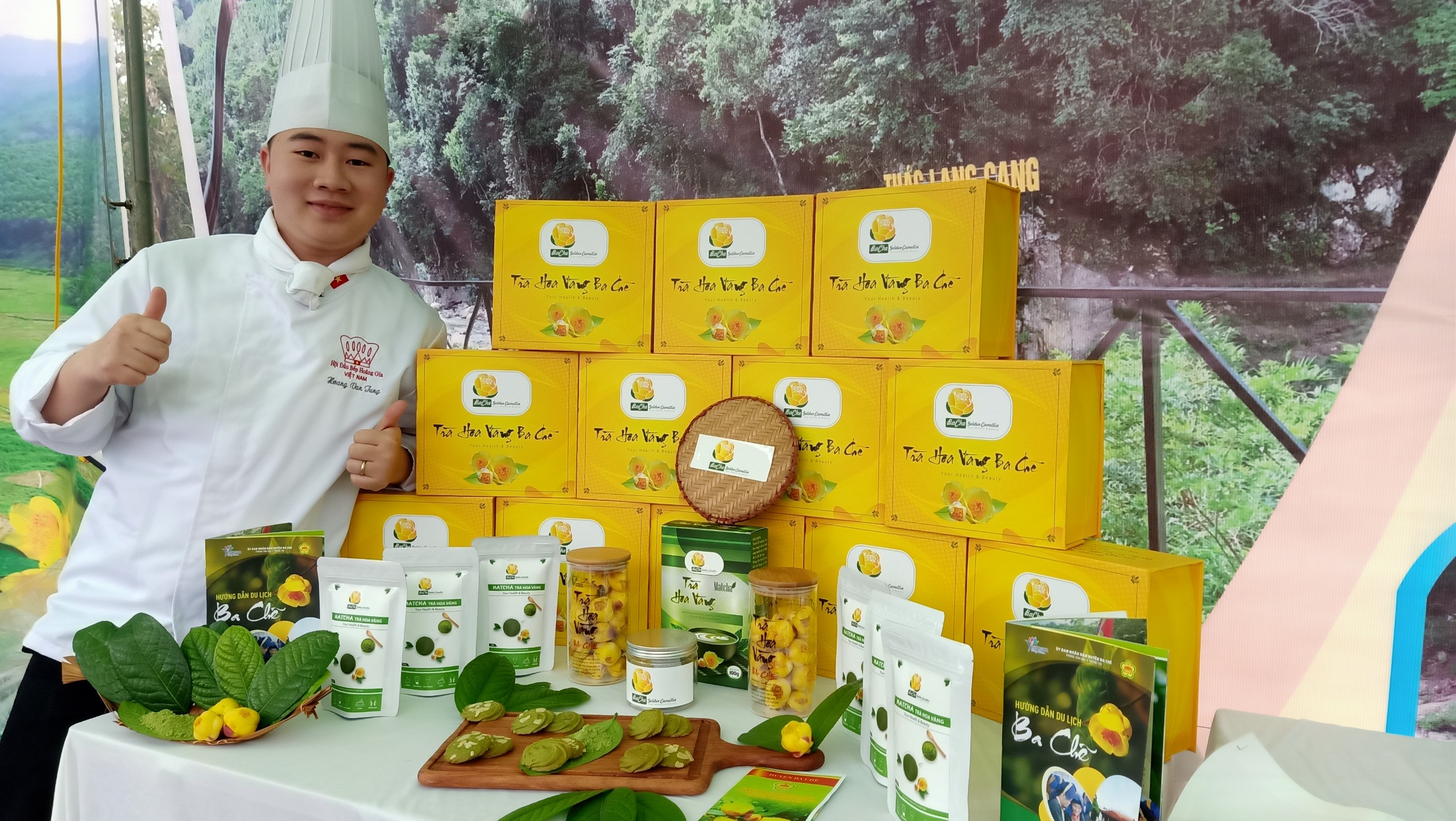 Hoa Trà hoa vàng Ba Chẽ